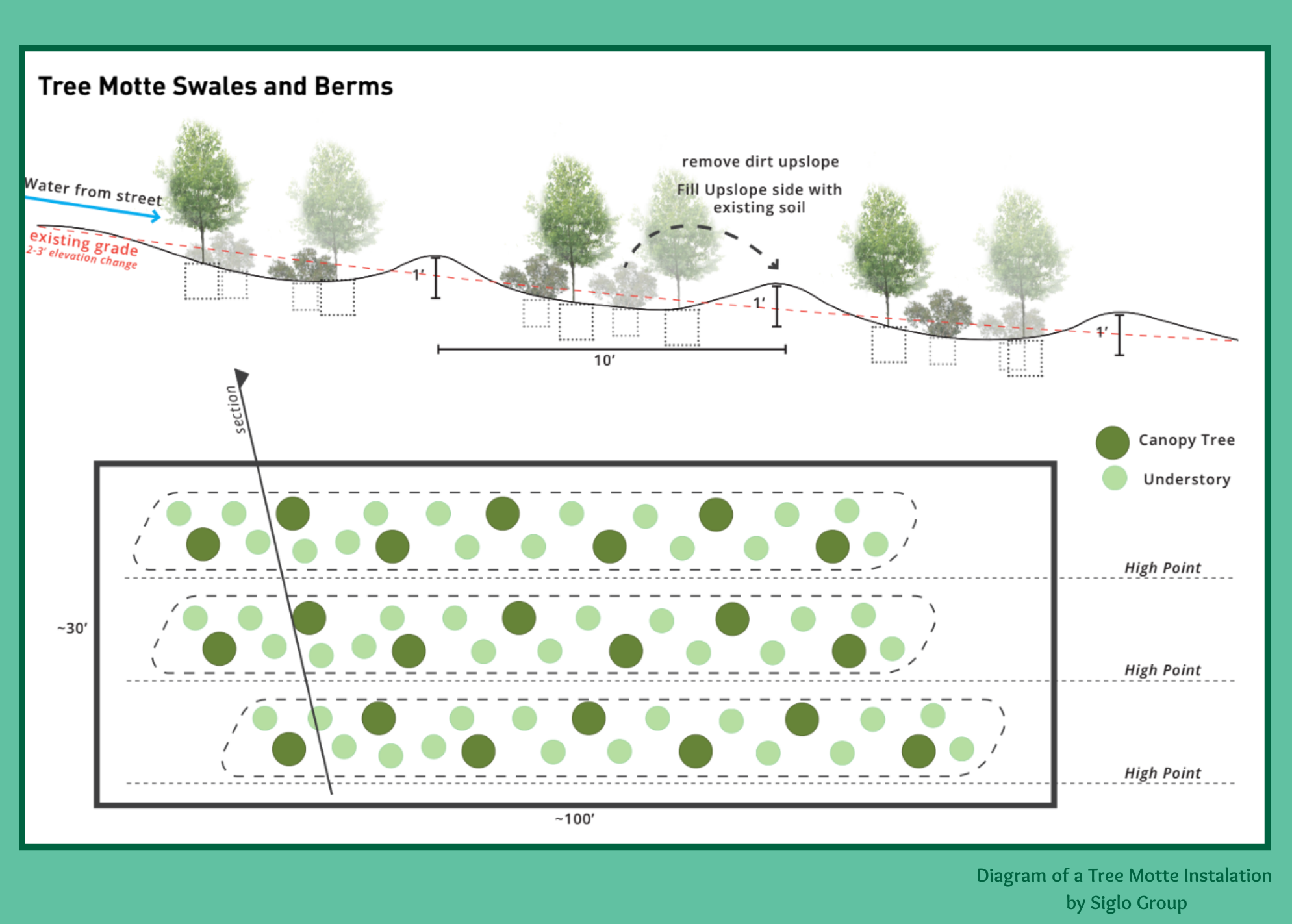 Plant trees for Zilker Park — Zilker 351 | Austin, Texas Non-Profit